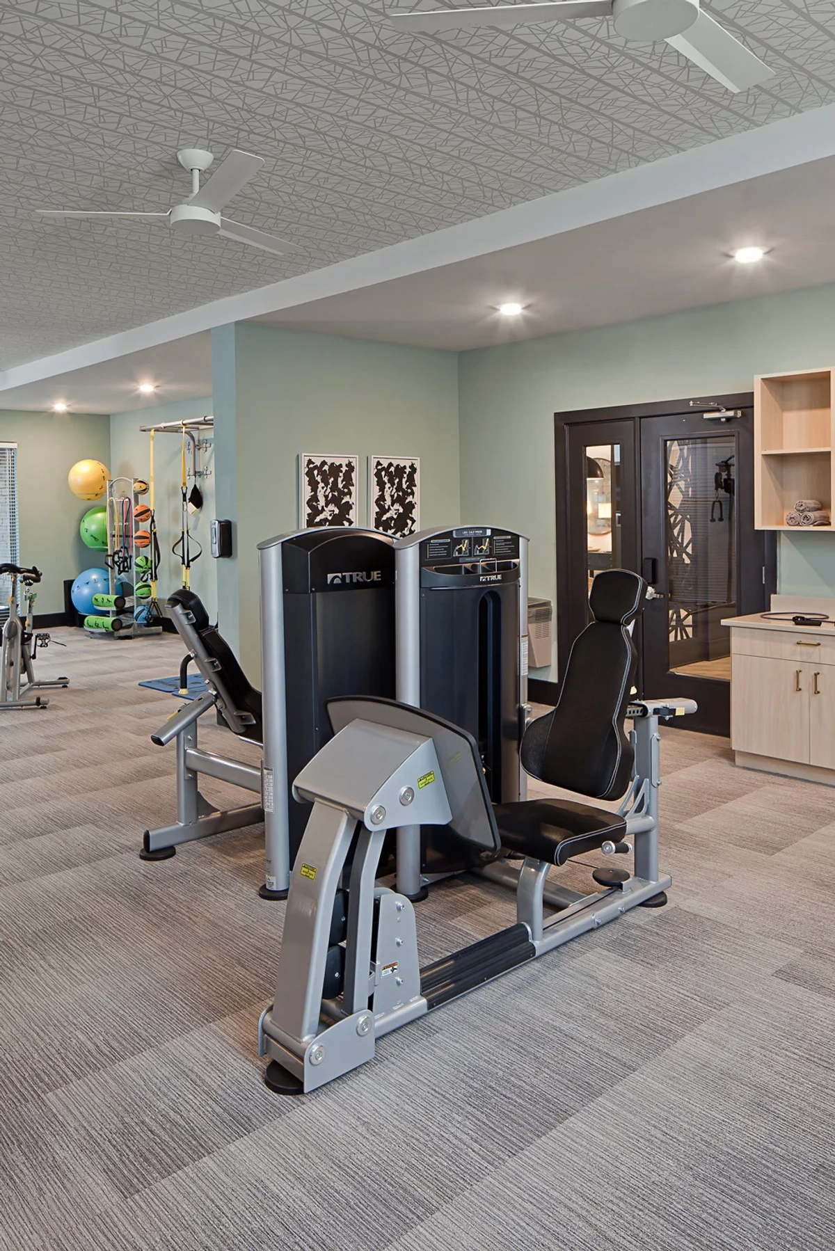 Fitness center from an alternate angle showing leg press and weight machines, ceiling fan, sage green walls, carpeted floors, and a dark-framed glass entry door with decorative metal panel